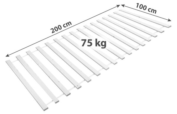 LETVENA PODLAGA V ROLI 100/200 cm