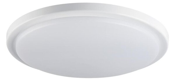 Kanlux 29161 - LED Kopalniška stropna svetilka ORTE LED/24W/230V IP54