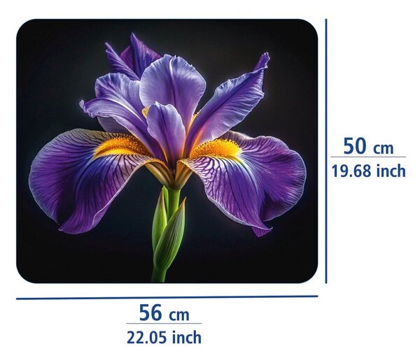 Stenska zaščitna plošča za štedilnik iz kaljenega stekla 50x56 cm Iris – Wenko