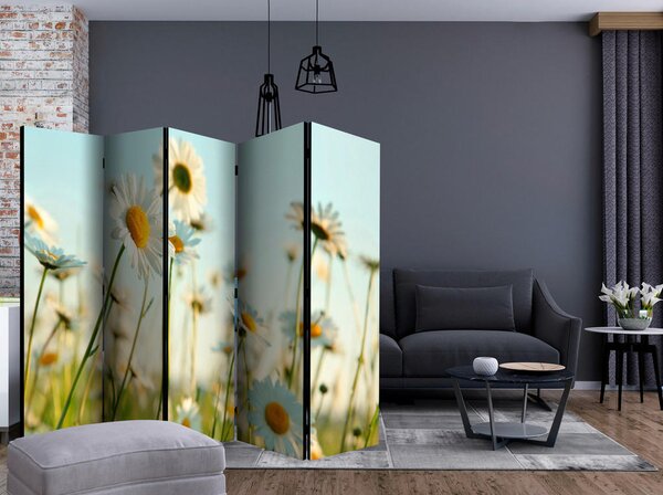 PARAVAN 225/172/3 cm pastelno modra, zelena