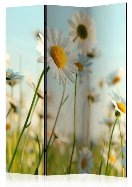 PARAVAN 135/172/3 cm zelena, pastelno modra