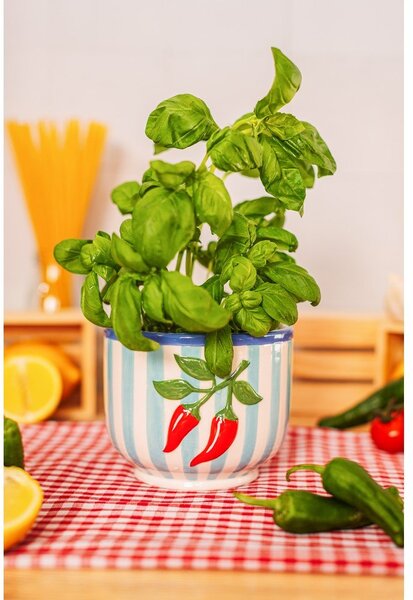 Keramičen ročno poslikan okrasni cvetlični lonec ø 12 cm Chilli – Sass & Belle