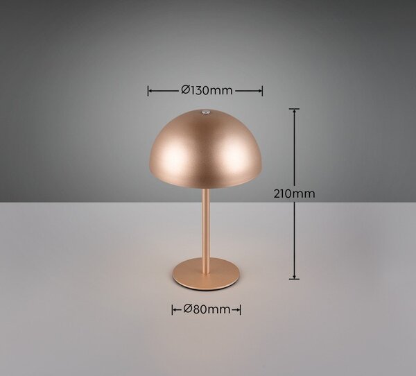 LED namizna svetilka v bronasti barvi s kovinskim senčilom (višina 21 cm) Munoz – Reality