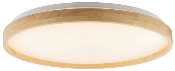 STROPNA LED-SVETILKA Alson 17 W 3000-6500 K 220-240 V