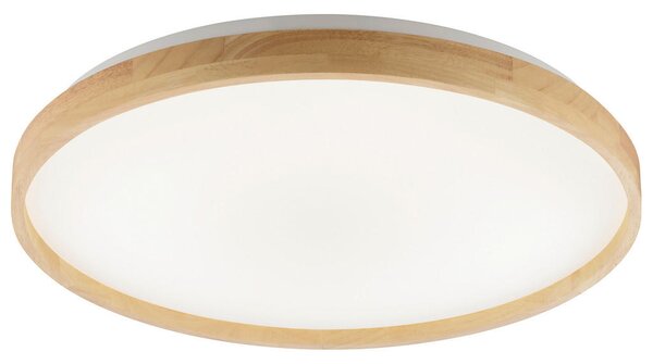 STROPNA LED-SVETILKA Alson 17 W 3000-6500 K 220-240 V