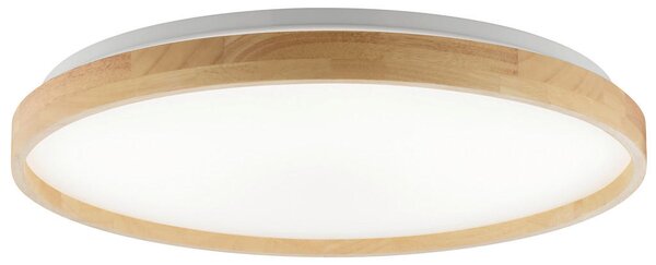 STROPNA LED-SVETILKA Alson 17 W 3000-6500 K 220-240 V