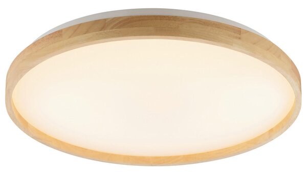 STROPNA LED-SVETILKA Alson 17 W 3000-6500 K 220-240 V