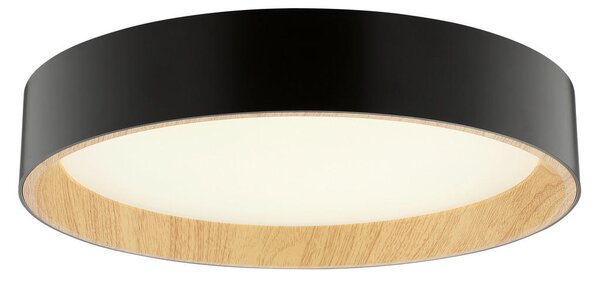 STROPNA LED-SVETILKA Larios 10 W 3000-6500 K 220-240 V