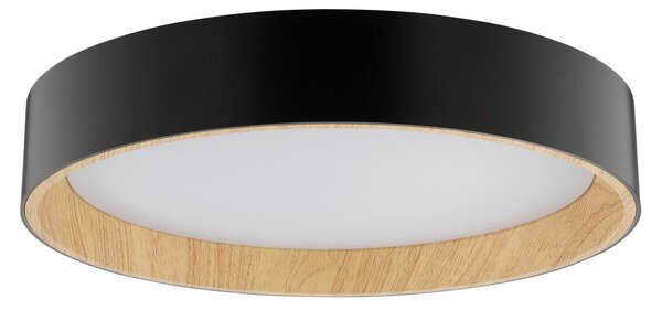 STROPNA LED-SVETILKA Larios 10 W 3000-6500 K 220-240 V