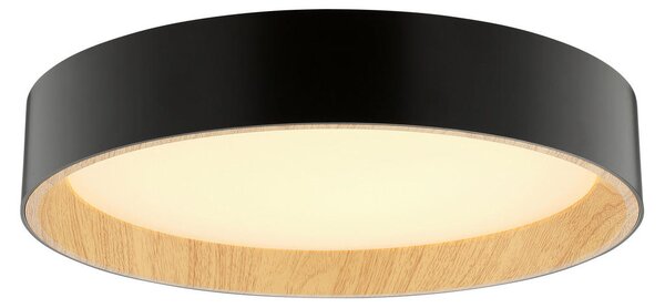 STROPNA LED-SVETILKA Larios 10 W 3000-6500 K 220-240 V