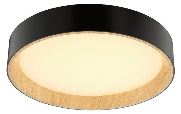 STROPNA LED-SVETILKA Larios 10 W 3000-6500 K 220-240 V
