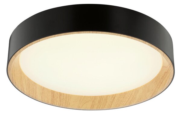 STROPNA LED-SVETILKA Larios 10 W 3000-6500 K 220-240 V