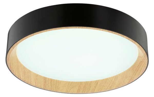 STROPNA LED-SVETILKA Larios 10 W 3000-6500 K 220-240 V
