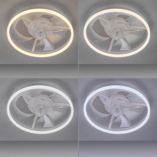 JUST LIGHT. GmbH LED stropni ventilator Rita, bel, CCT, daljinski upravljalnik, premer 50 cm, zatemnjen, Bela, Dnevna soba / jedilnica, Kovina, Sodobni