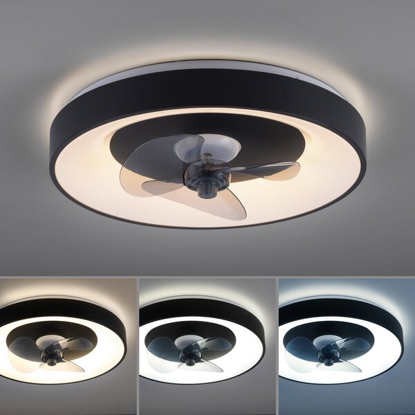 JUST LIGHT. GmbH LED stropni ventilator Venika, črn CCT, z daljinskim upravljalnikom, premer, zatemnjen, Črna, Dnevna soba / jedilnica, Kovina, Sodobni