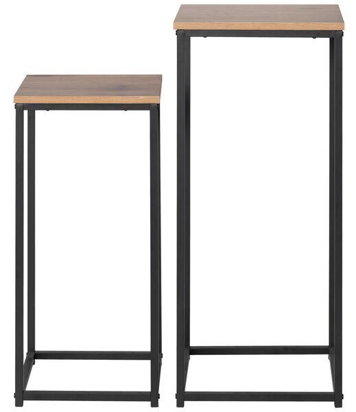 SET MIZIC ZA ROŽE
