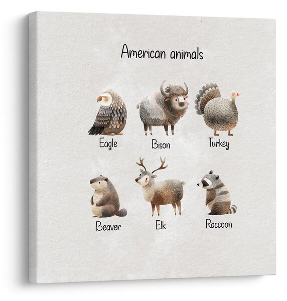 Slika ilustracija ameriških živali