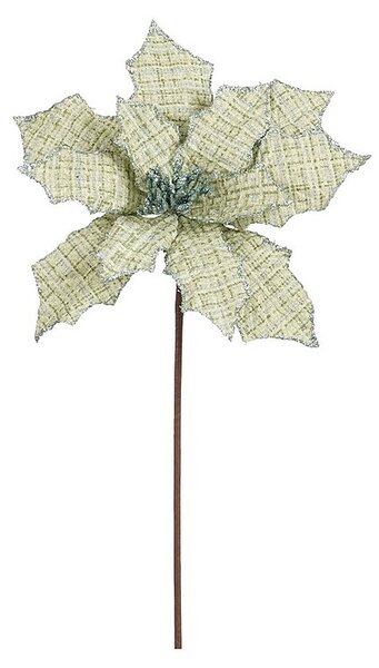 Mica Decorations Dračje (Božična zvezda, 45 cm, Svetlo zelena)