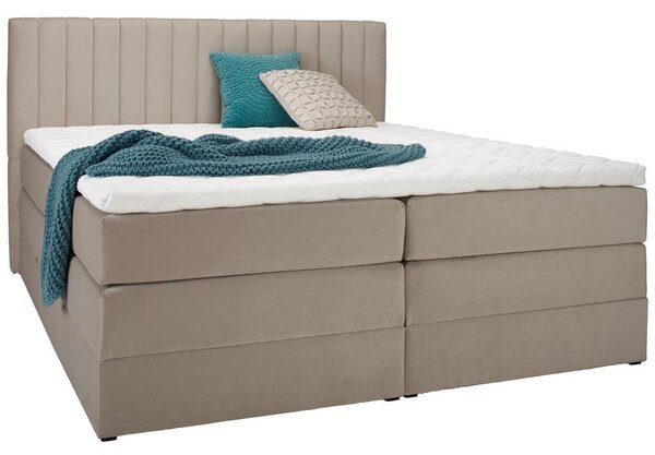 Premium Living Postelja Boxspring Simon, Bež, 160x200