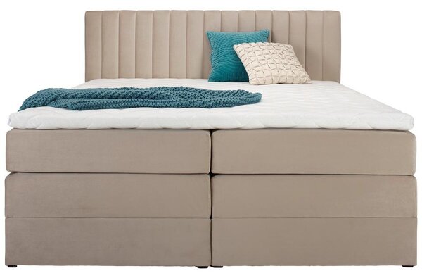 Premium Living Postelja Boxspring Simon, Bež, 160x200