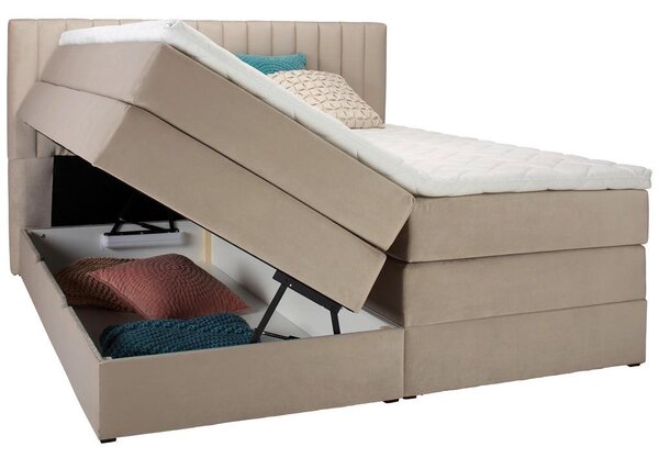 Premium Living Postelja Boxspring Simon, Bež, 160x200
