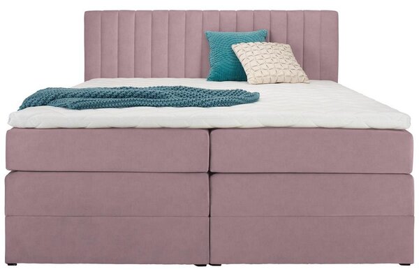 Premium Living Postelja Boxspring Simon, Roza, 160x200