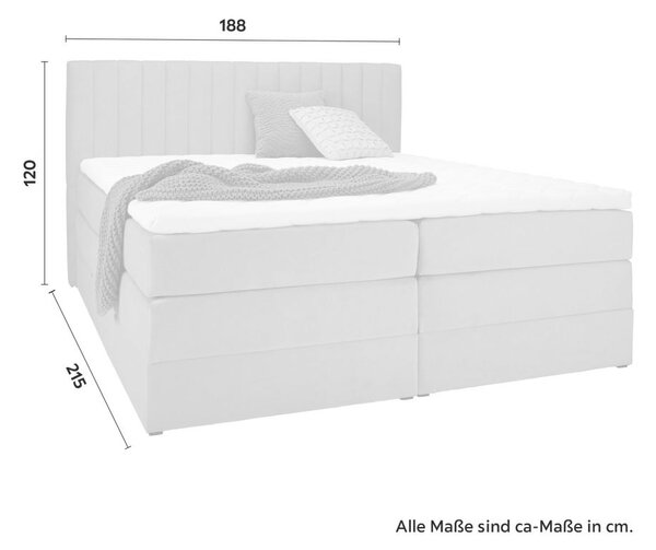 Premium Living Postelja Boxspring Simon, Roza, 180x200