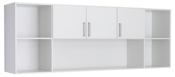 Xora Regal Tamino, Bela