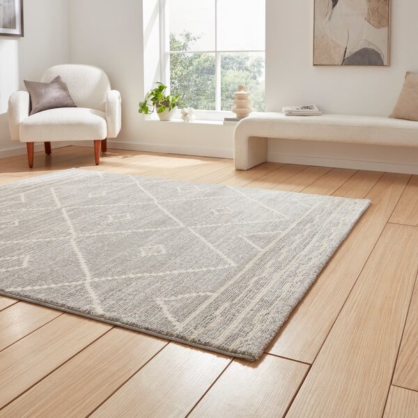 Svetlo siva preproga 120x170 cm Geneva – Think Rugs