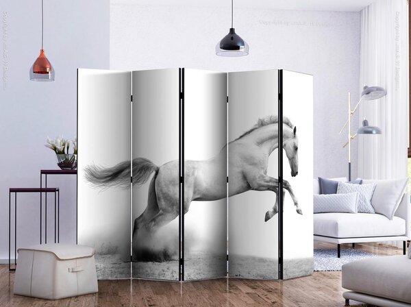 Artgeist Paravan White Gallop I, 5-Delni, Dvostranski