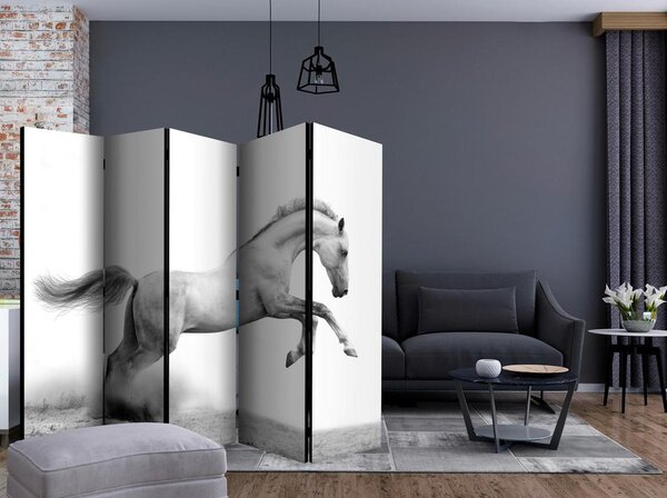 Artgeist Paravan White Gallop I, 5-Delni, Dvostranski