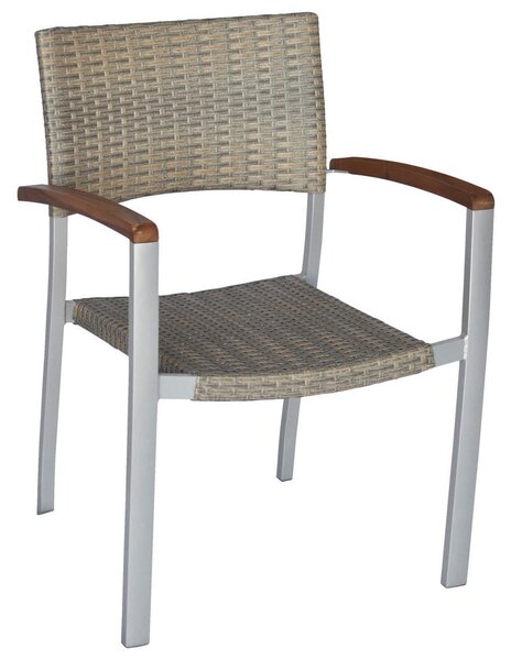 VRTNI SET aluminij siva, srebrne barve siva, srebrne barve, barve akacije