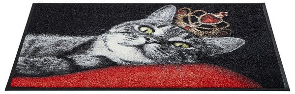 PREDPRAŽNIK Royal Cat 50/75 cm rdeča, črna