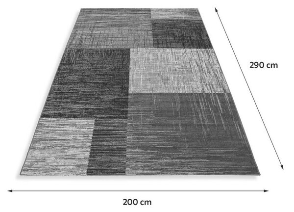 TKANA PREPROGA Plus 8001 200/290 cm tkano črna