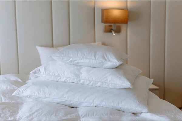 VZGLAVNIK Sleeptex