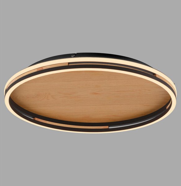STROPNA LED-SVETILKA Sveja 2700-5000 K