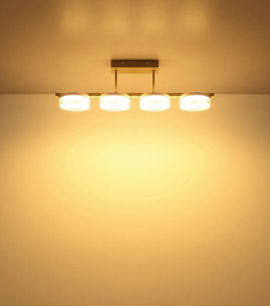 STROPNA LED-SVETILKA ZARA 24 W 1600 lm 3000 K 230 V