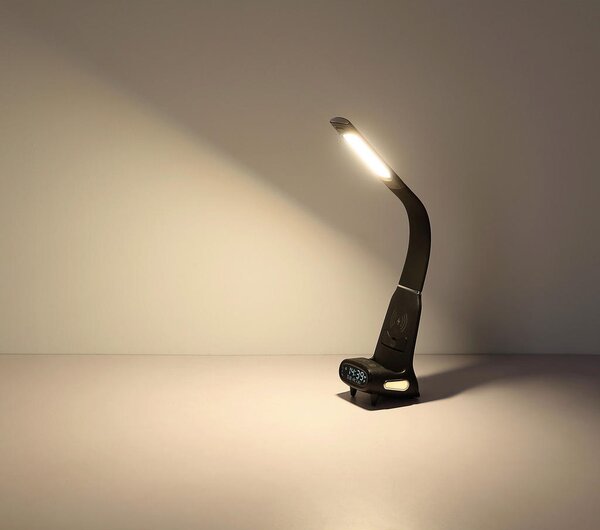 NAMIZNA LED-SVETILKA MALIK 25/10/50 cm