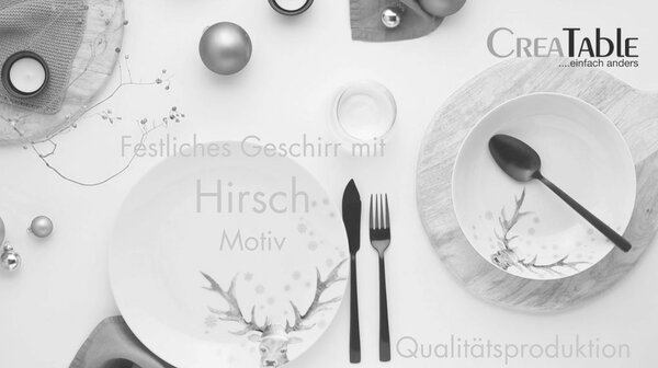 KOMBINIRANI SERVIS Hirsch