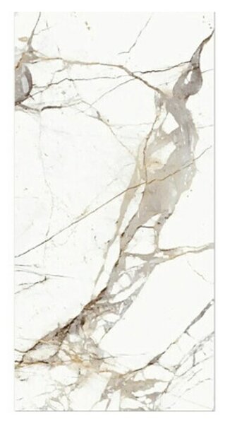 Plošča iz naravnega kamna Empero Classico bianco (60 x 120 cm, Bela, Siva, Bež, Sijaj)