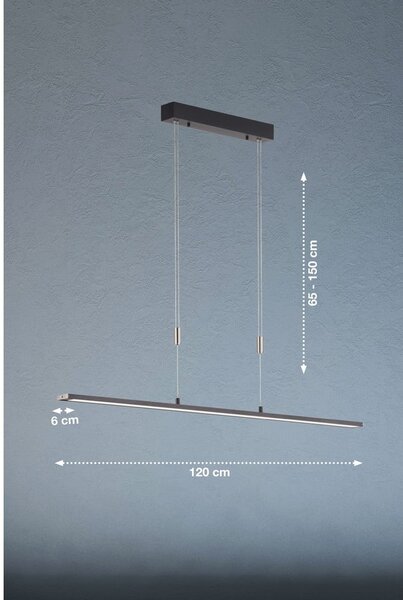 Črna LED zatemnitvena viseča svetilka Metz TW – Fischer & Honsel