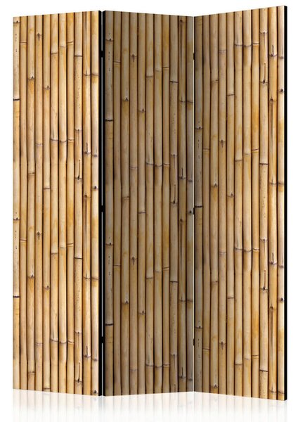 PARAVAN 135/172/3 cm rjava, bež