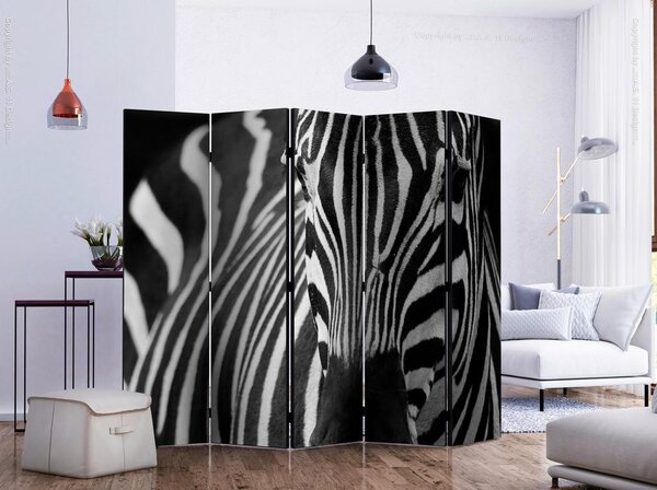 Artgeist Paravan Zebra I, 5-Delni, Dvostranski