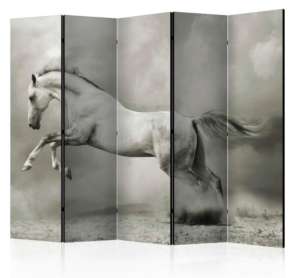 Artgeist Paravan Wild Stallion I, 5-Delni, Dvostranski