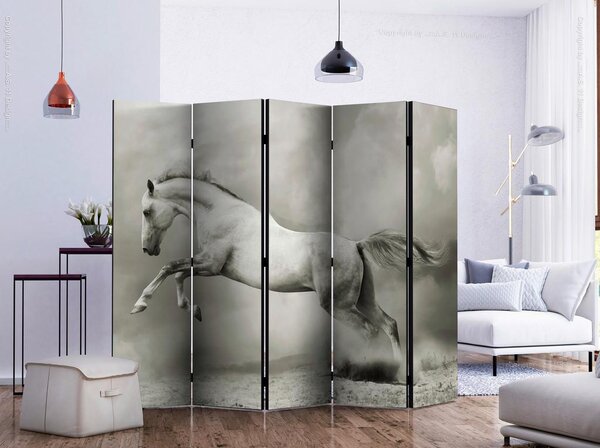 Artgeist Paravan Wild Stallion I, 5-Delni, Dvostranski