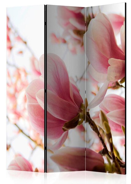 Artgeist Paravan Pink Magnolia, 3-Delni, Dvostranski