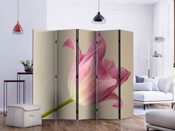 Artgeist Paravan Pink Tulip I, 5-Delni, Dvostranski
