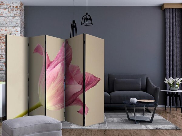 Artgeist Paravan Pink Tulip I, 5-Delni, Dvostranski