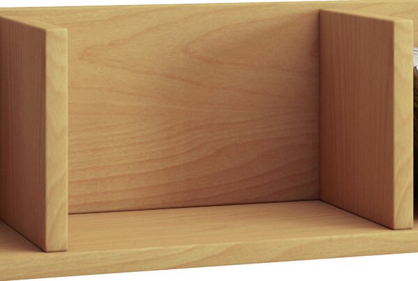 STENSKI REGAL 97/15/17 cm barve bukve