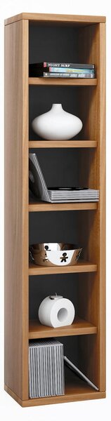 REGAL ZA CD-JE 21/97,4/20 cm barve oreha